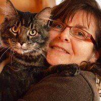 Carol Kean (@tea_in_carolina) 's Twitter Profile