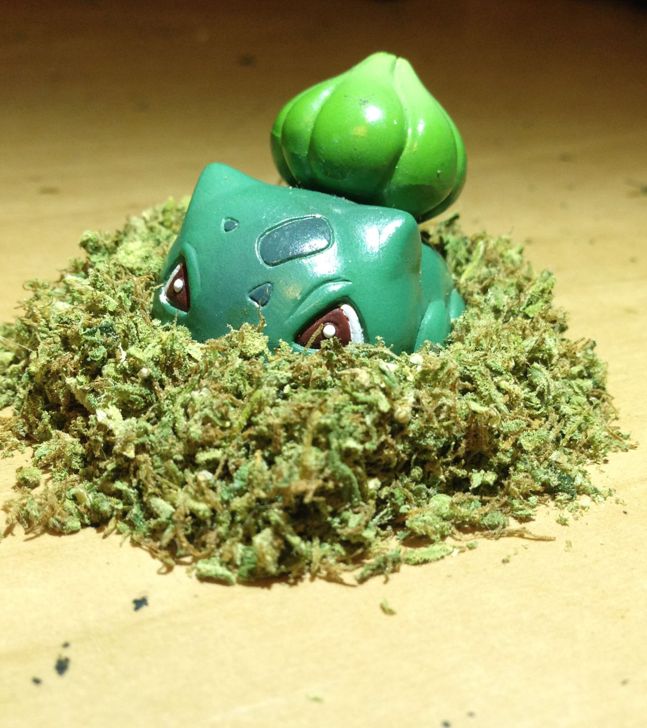 Aspiring author, cannabis user. Next project, drugs particularly cannabis and their effects on perception and human  consciousness.