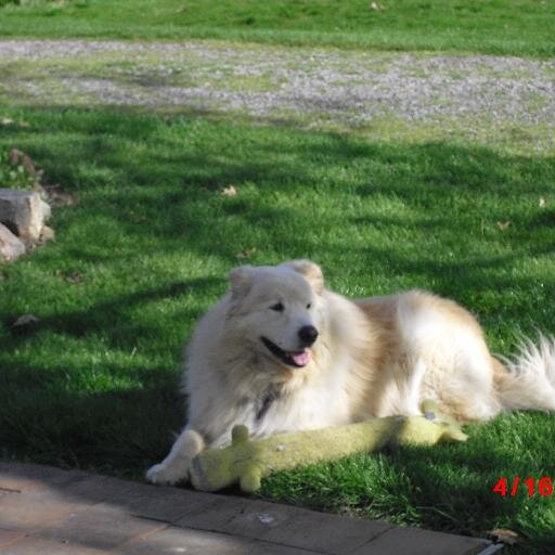animal lover, gardening and just being out doors, stands up for animal rights, and I believe in all rescue shelters.We also now have Toby Tyler