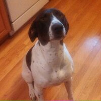 jeff havel (@haveljeff) 's Twitter Profile