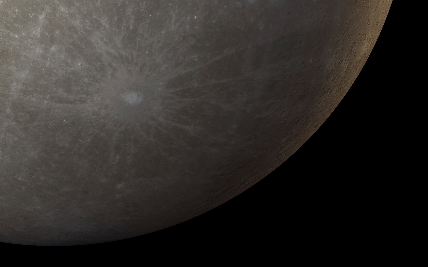 MsECR1's profile picture. 