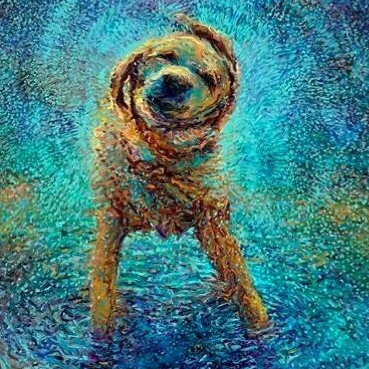 WetdogMCR's profile picture. •MANCHESTER/SALFORD BASED LABEL/BLOG/EVENTS •