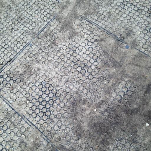 ordinarymisfits's profile picture. A stream of conscience