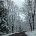 Lowell Nelson - @lanelson7 - Twitter