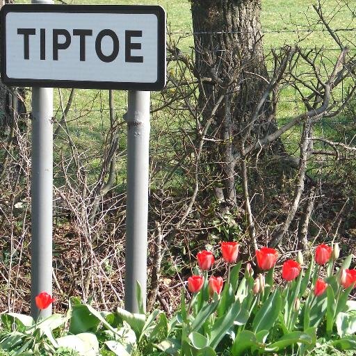 Tiptoe: a delightful New Forest Village with a strong community spirit