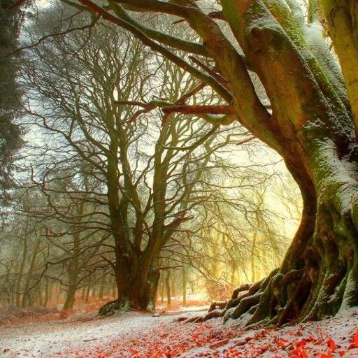 Pee_Paul's profile picture. Old man and the Ez