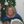 Michelle Grooms (@Mlg5791) profile picture
