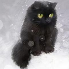 daionari Profile Picture