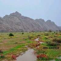 جريس الشمري (@jaja1374h) 's Twitter Profile