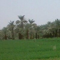 مهند أحمد آل سعيد (@mohnedahmedosma) 's Twitter Profile