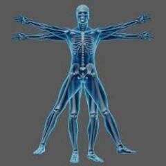Specializing in health and wellness care without medication. Sports medicine