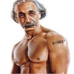 stallonefriuli's profile picture. 