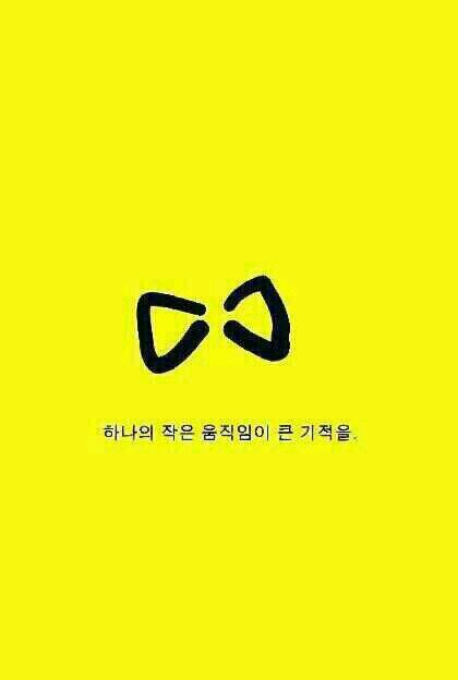 상식과 비상식의 혼돈