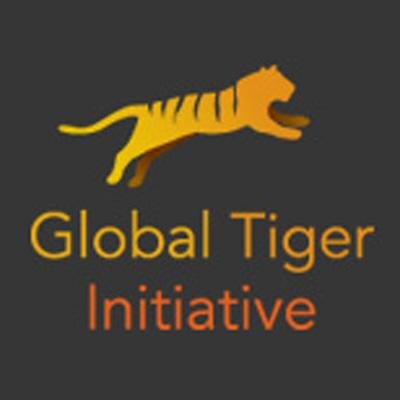 Global Tiger Initiative is an alliance of gov'ts, int'l agencies, NGOs + private sector aimed at saving wild tigers from extinction.