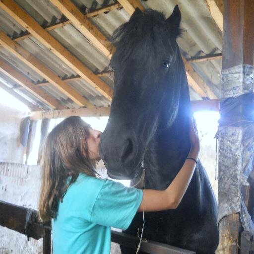 Maria3Bixio's profile picture. La vera equitazione non è saltare vestito di bianco. E' galoppare in salita su un sentiero di montagna, anche se il tuo cavallo è piccoletto e robusto.