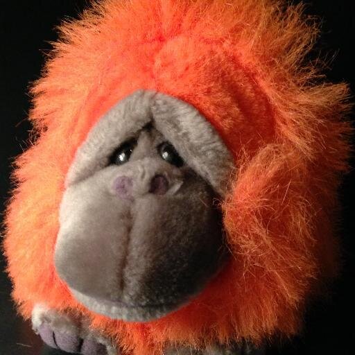 Orange & wise.