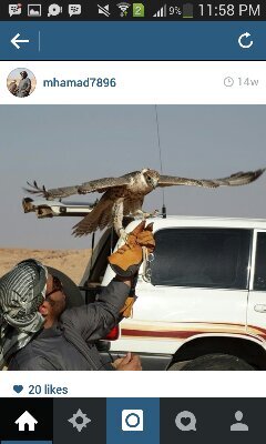 mmmq505's profile picture. ‏‏‏‏‏‏الاسم : محمد مسعود محمد ابن الفرد المسردي                                                     BBM : 7492D3D7