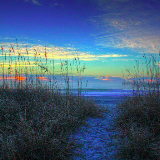 mbmagic's profile picture. 