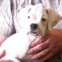 Debra Putman - @saintdiegowted - Twitter