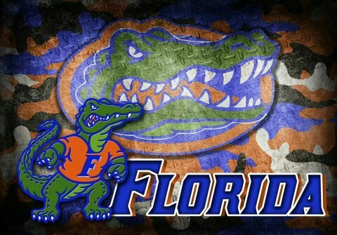 Huge Florida Gators Everything, #GatorNation