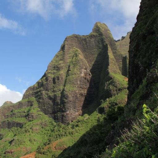 mgoods23's profile picture. 