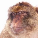 john jones - @johnjonesname - Twitter