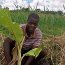 Patrick Harry - @PatrickHarry2 - Twitter