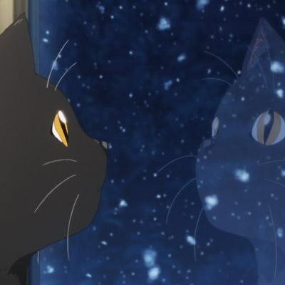 Глава команды «NekoSubs», админ Петербургского фан-сайта группы «Lacrimosa», веб-мастер Русского энтомологического общества. | Skype: lacrimosaspb
