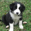 jacqui walker - @jaxxxxs - Twitter