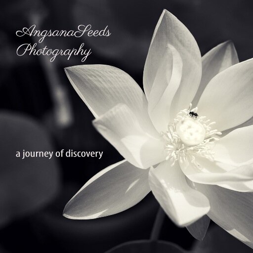 Photography is a journey of discovery. Follow me on FB, insta @angsanaseeds