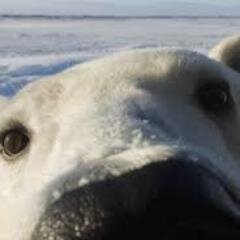 buosyou's profile picture. 性別♂　一応気分はタオイスト。怪我してリハビリ→職業訓練校→再就職と、なんとか社会復帰。 身体に似合わない事務職してます。 映画、歴史好きで、エロ系は、ひかえめなドＳ。歴女と仲良くなりたいなぁｗ無理か？ よろしうお願いしま