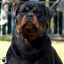 Julio campos - @Juliocampos1482 - Twitter