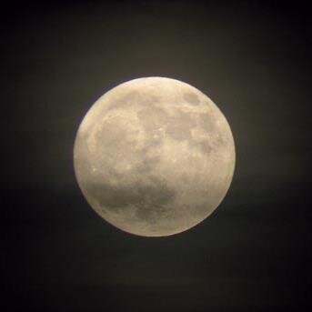 IdrissZOUHAIR's profile picture. 