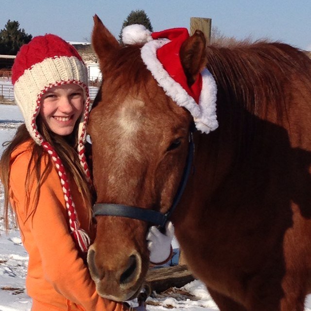 Barrel racer, loves to go trail riding, and never gives up on anything