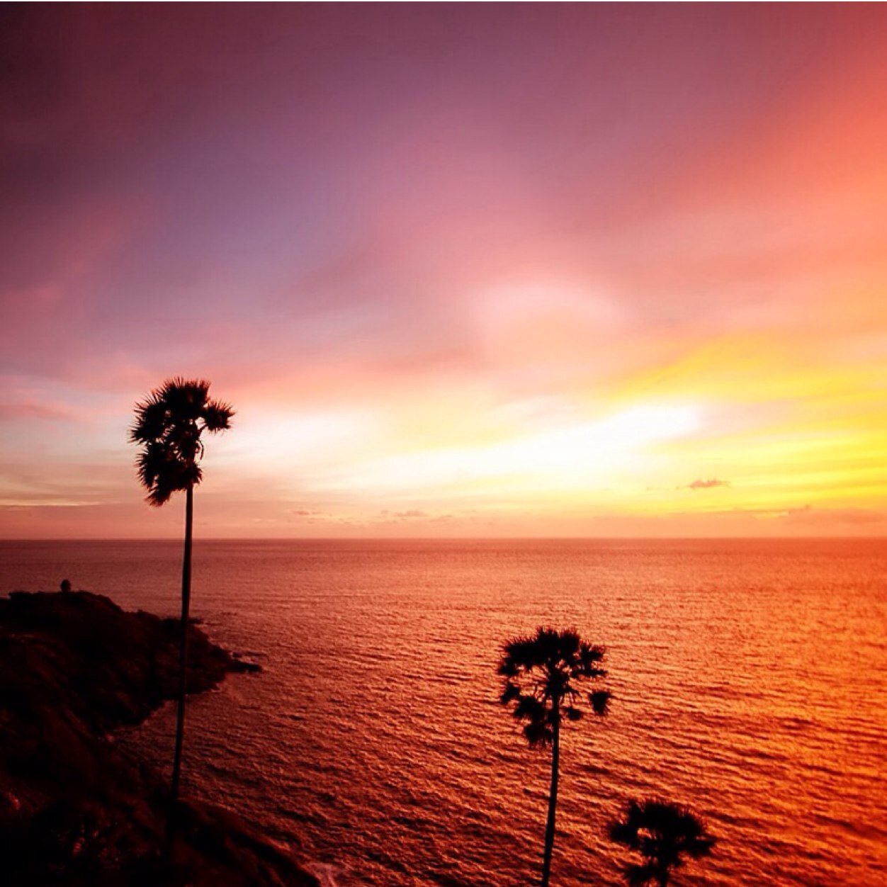 aaljumairy2's profile picture. 