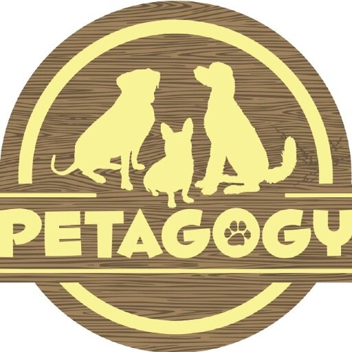 Petagogy