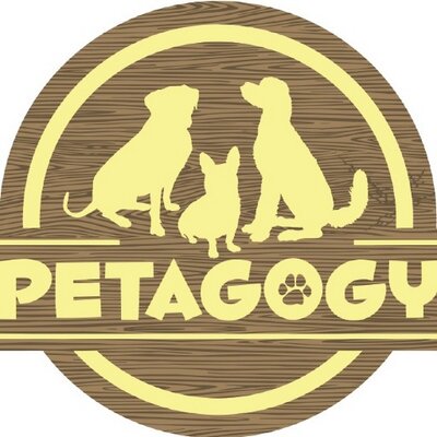 Petagogy's profile image