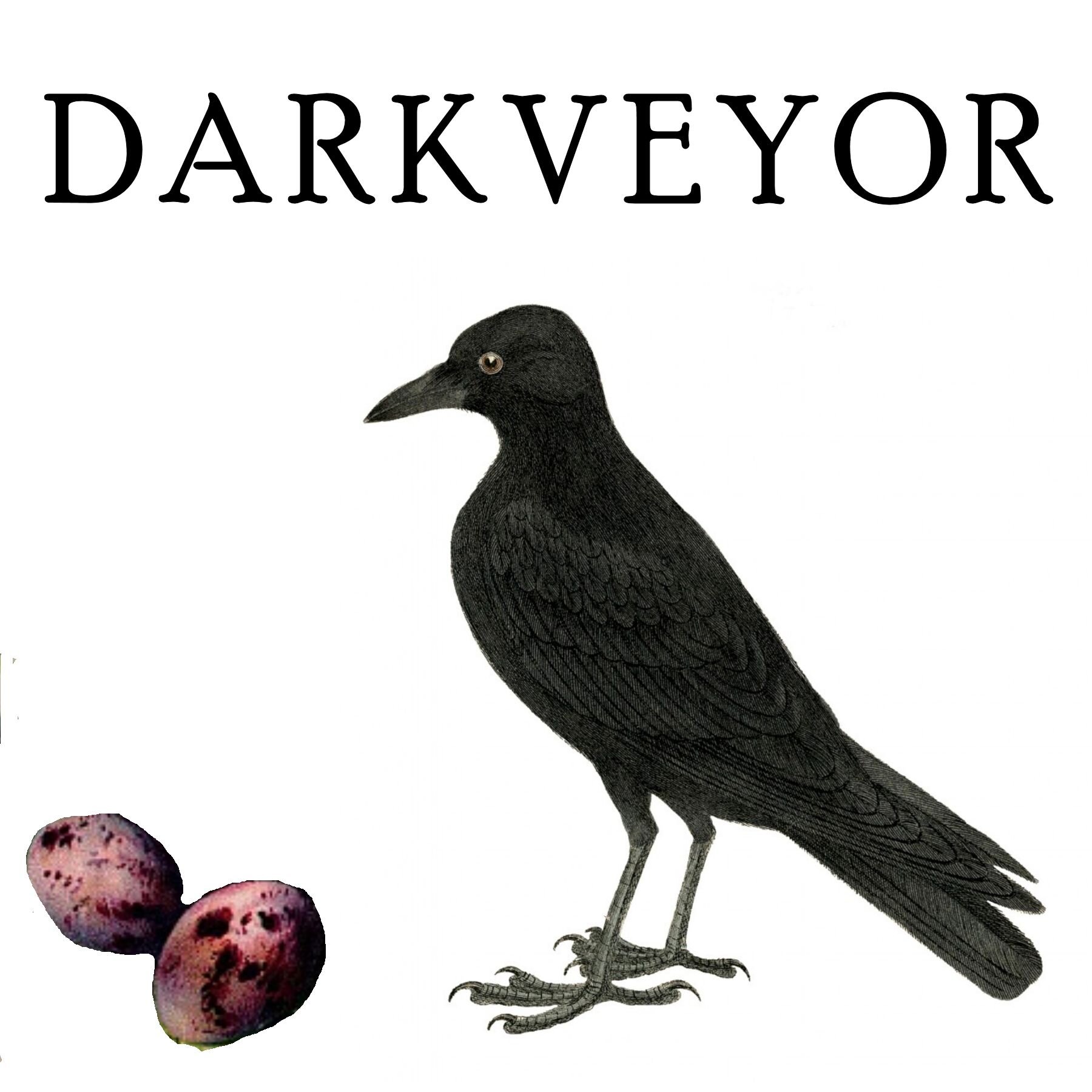 DarkVeyor's profile picture. Purveyor of Darkness
Bwa ha ha ha