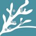 Toronto Memory Program (@toronto_memory) Twitter profile photo Toronto Memory Program (@toronto_memory) Twitter profile photo