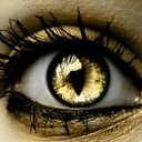 Tracy VanMeter - @vanmeter_tracy - Twitter