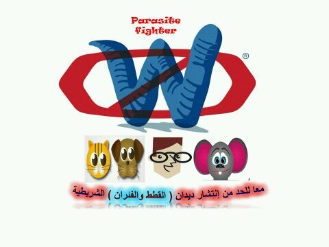 RrrFighter's profile picture. ‏‏‏‏‏حساب مخصص للتعريف عن بعض الديدان الشريطيه في القطط والفئران والتي تصيب الانسان..(طلاب المختبرات الطبيه)معهد العلوم الصحيه