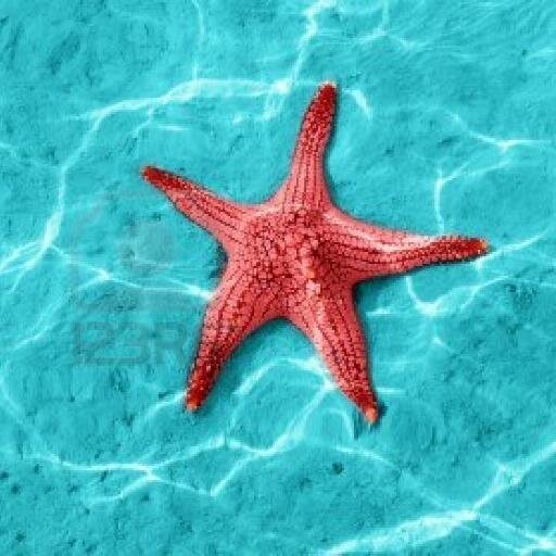 lupilaf's profile picture. Nacida en Otoño de 1982 en el puerto de Guaymas............Todo llega en su justo tiempo. Si llega antes no lo aprovecharás, y si llega después no te servira