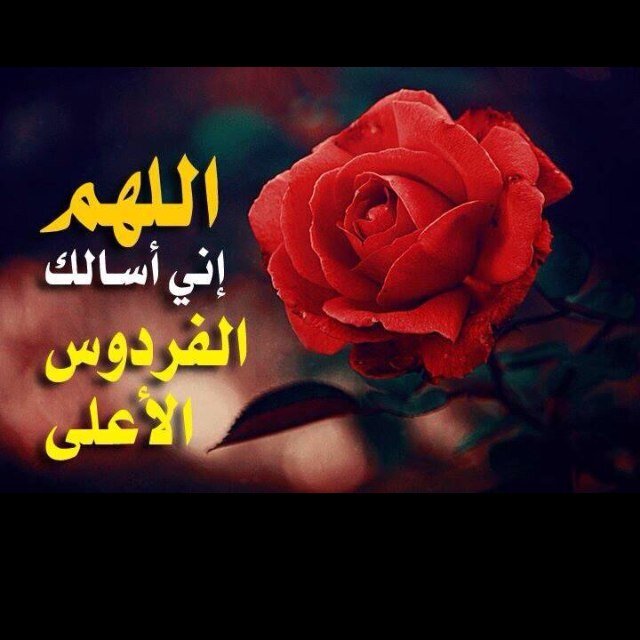 سبحان الله وبحمده