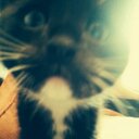 Arthur George - @arthurgeorgesc - Twitter