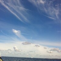 Daimoovol (@daimoovol) 's Twitter Profile Photo