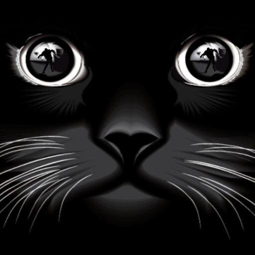 A Texan, catt dahman  writes horror and true crime. She is a screenplay writer/director/producer/podcaster and is a member of Veritas 7.