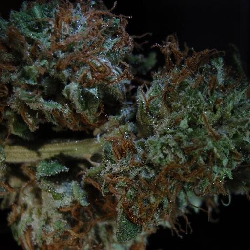 Free weed coupons save on top shelf,edibles and much more...