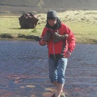 Peter Cawston (@petermakeslinks) 's Twitter Profile