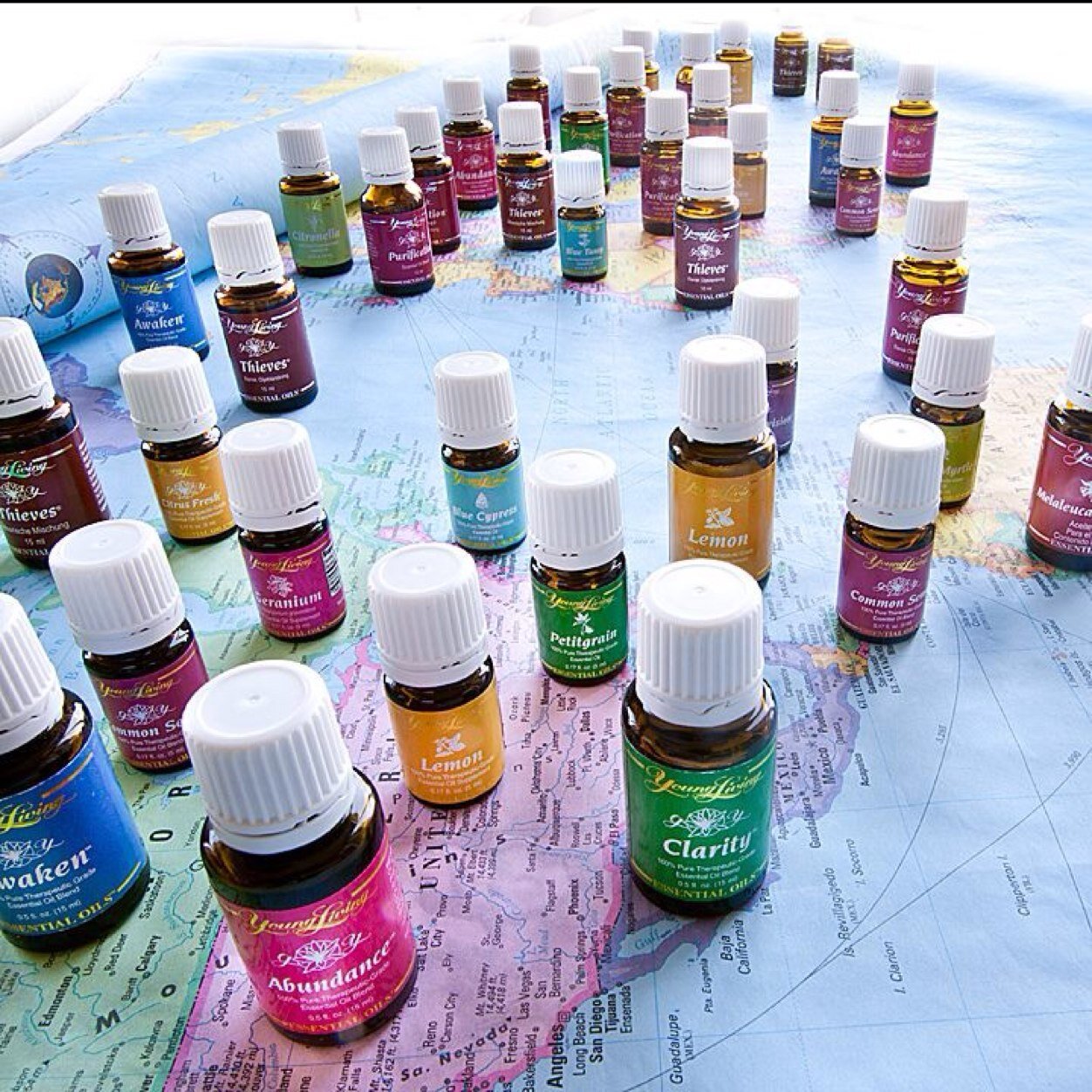 Lives in pursuit of happiness, wealth, simplicity.  Independent Distributor for Young Living Essential Oils.