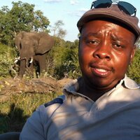 Hloni (@masetlwa) 's Twitter Profile